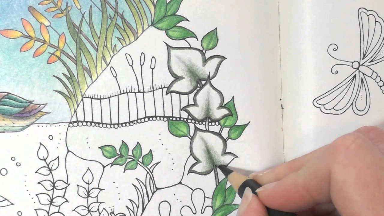 Colouring Tutorial: Colour with Peta. Duck Pond, Part 3.