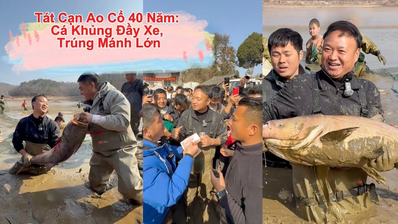 Bao Ao Cổ 40 Năm: Chủ Ao Tặng Hết Cá, Đại Biểu Ca Lãi Đậm