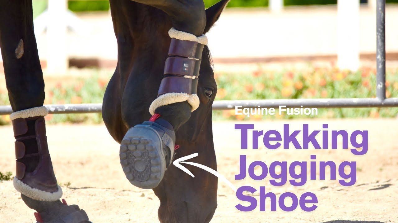 I got hoof boots for barefoot pregnant mare