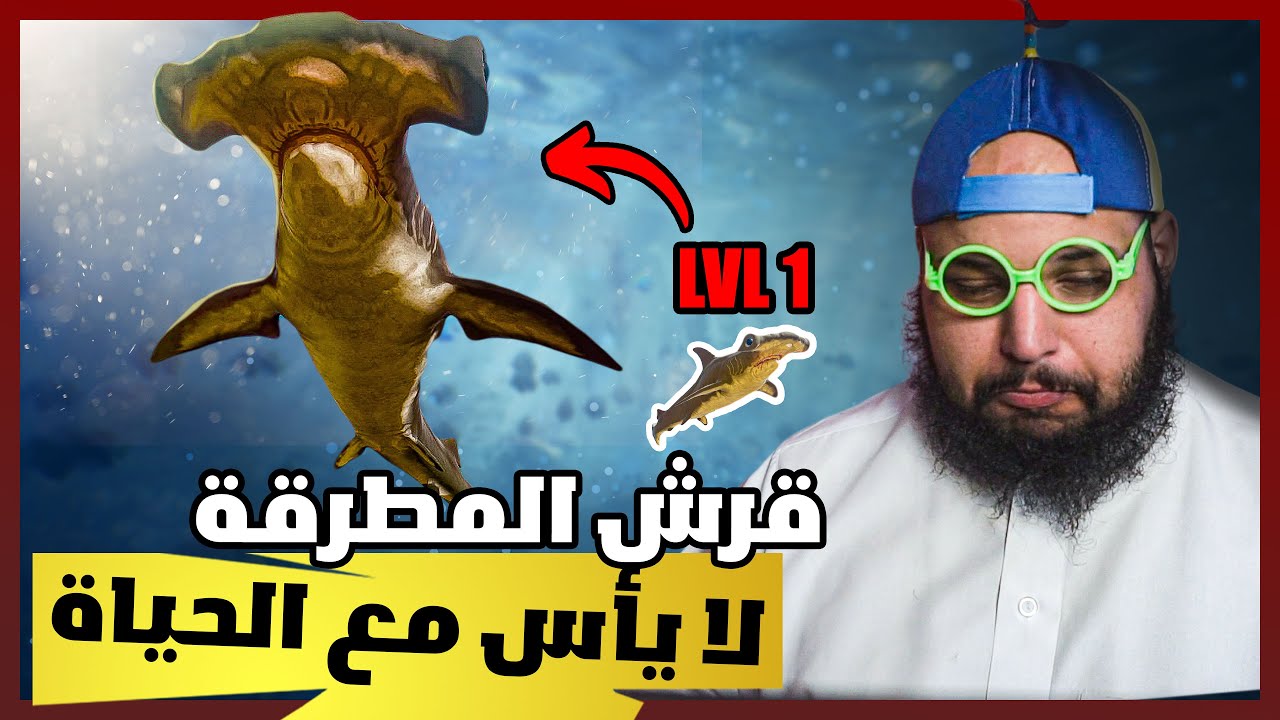 حياة قرش المطرقة المعنفة | Feed And Grow