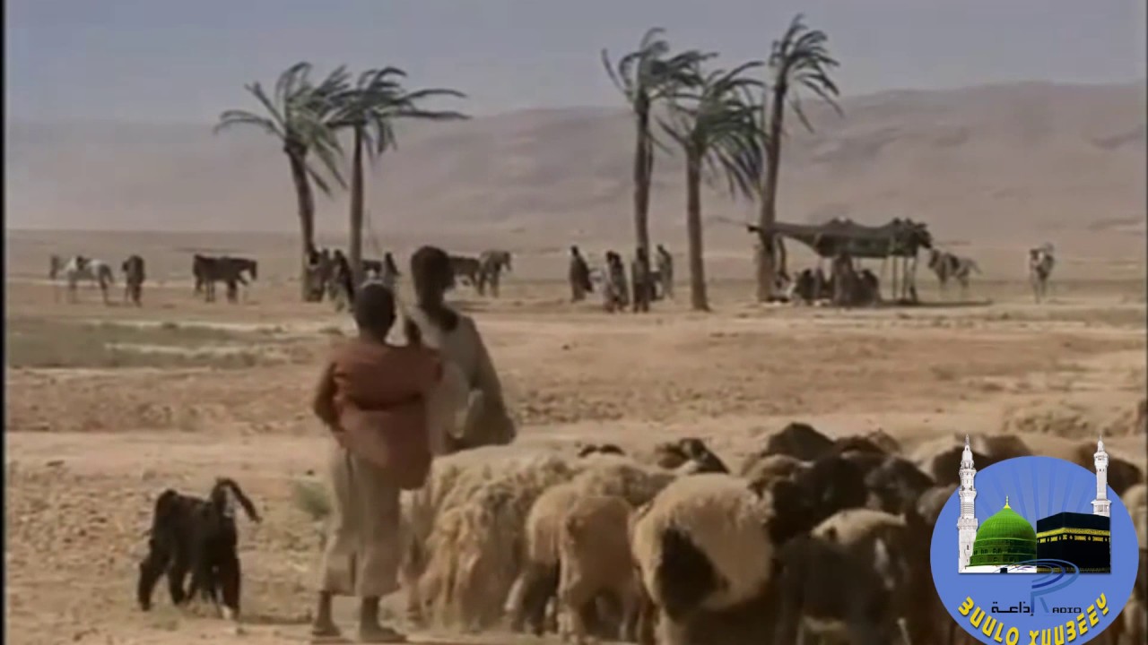 QISADII AY KUSOO DAGDAY SUURATUL MUJAADALAH (DOODII)