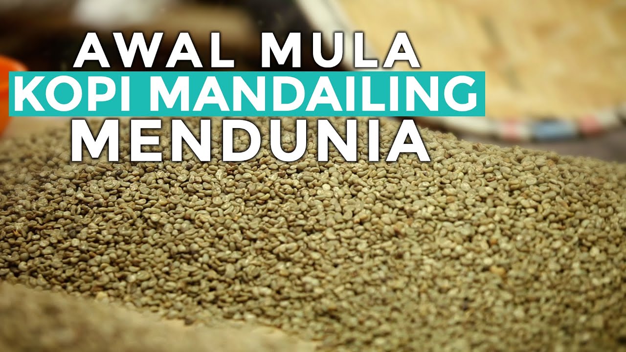 Mengenal Sejarah Kopi Mandailing yang Mendunia