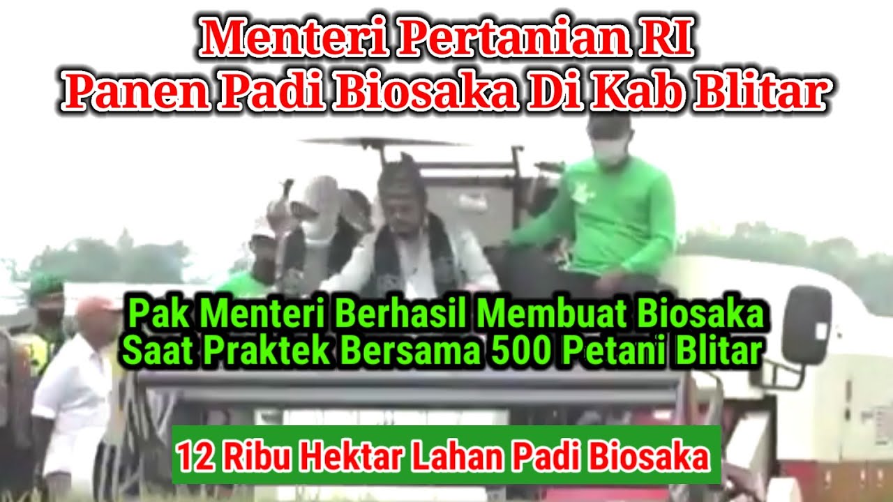 Menteri Pertanian Panen Padi Biosaka di Blitar | Cara Baru Membuat Biosaka , Remas 1x Putar Ke Kiri