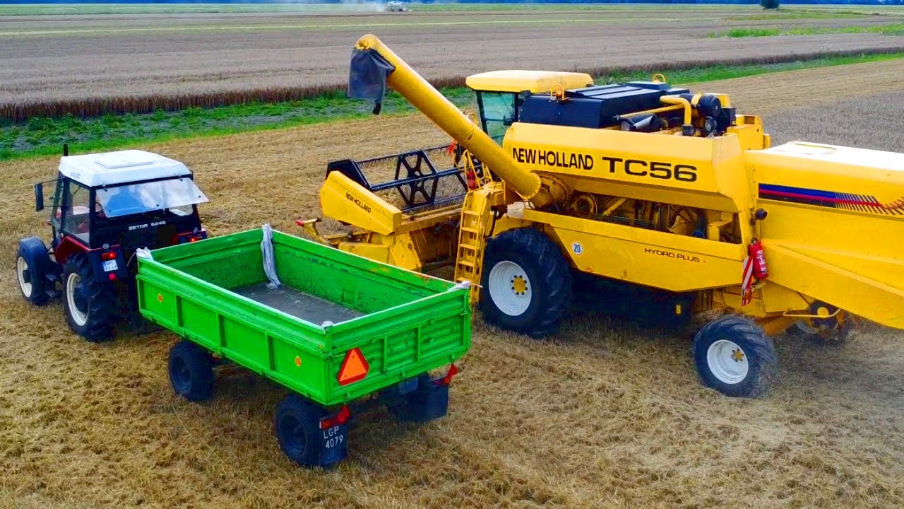 ŻNIWA 2024 NEW HOLLAND TC - USTAWIENIE KOMBAJNU/SŁABY RZEPAK [VLOG 92]
