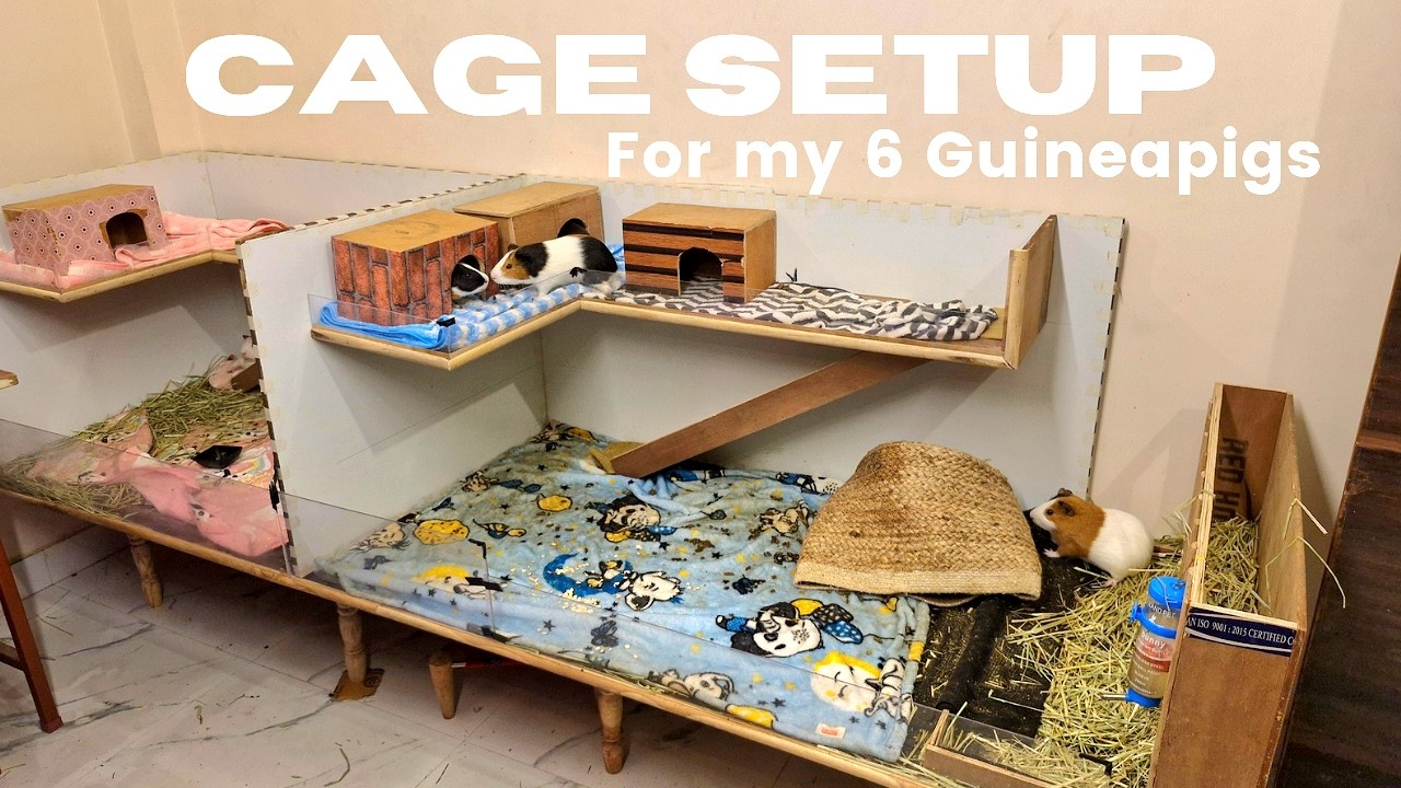 Double Storey Guinea Pig Cage with Balcony