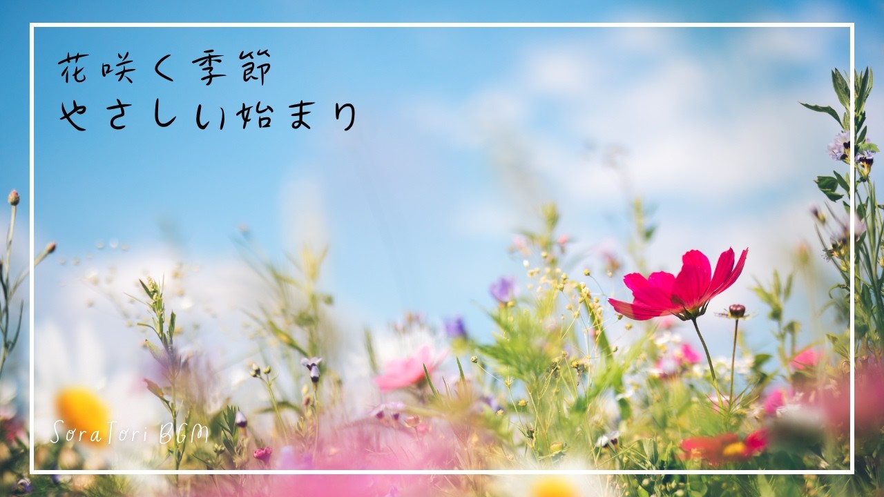 【BGM】花咲く季節 やさしい始まり｜やわらかな朝のピアノBGM｜静かな朝時間・リラックス・作業用BGM