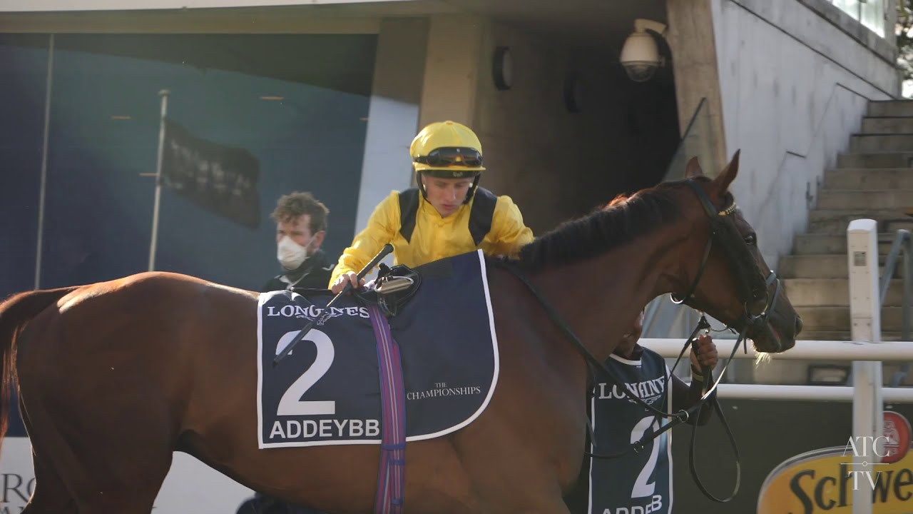 Addeybb returns to Sydney for Longines Queen Elizabeth Stakes