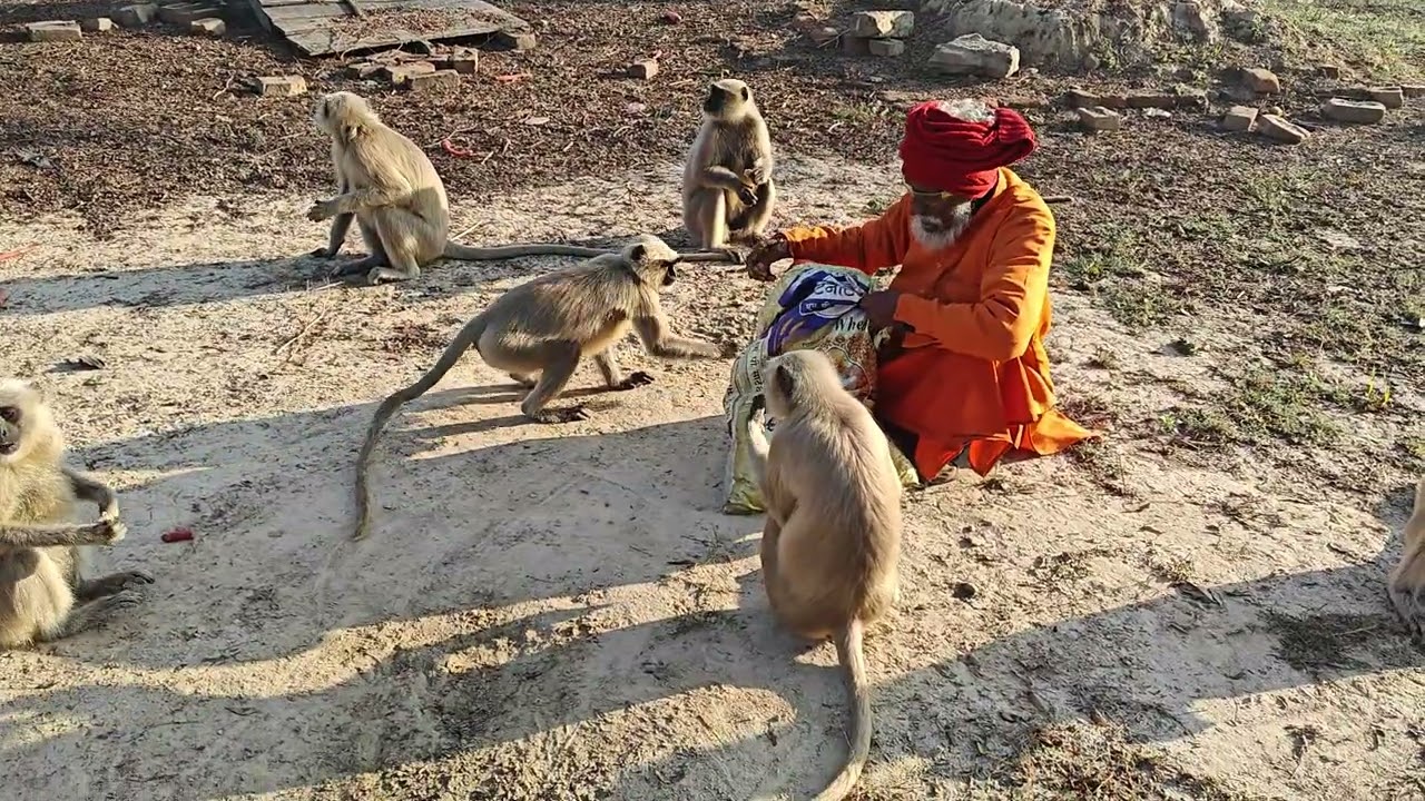 10/2/026=तुरंत असरकारक भोज