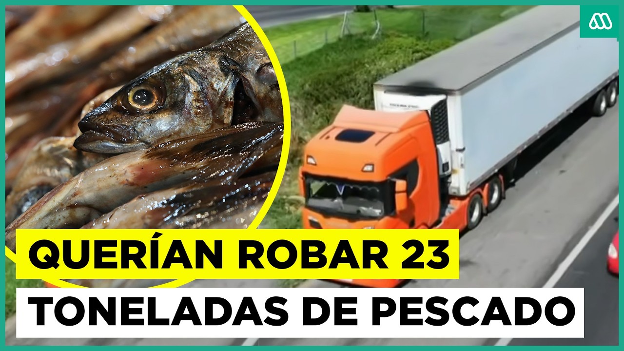 Quer&iacute;an robar 23 toneladas de pescado: Balacera y persecuci&oacute;n en plena Ruta 5 Sur