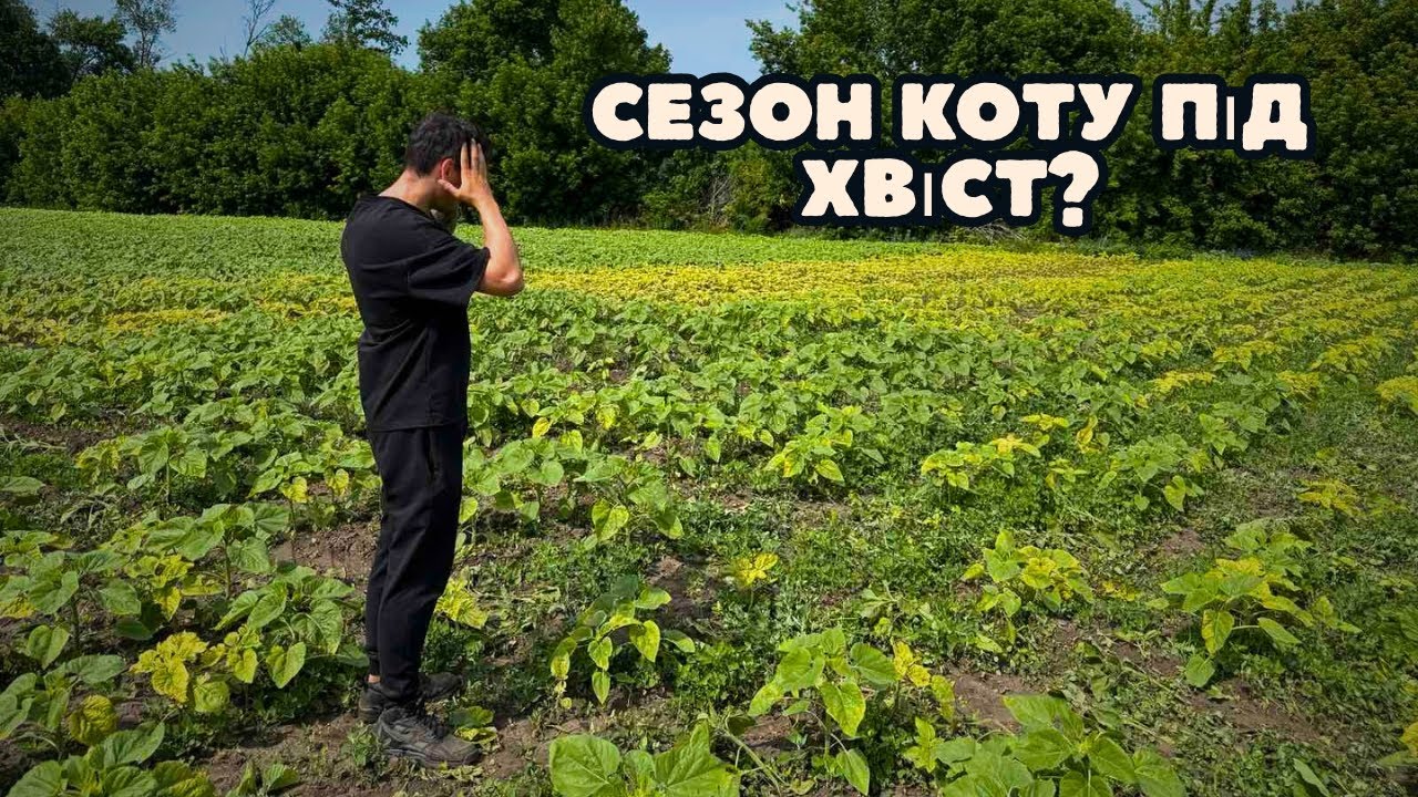 У ЯРІКА ПРОБЛЕМИ НА ПОЛІ❗️ ФАТАЛЬНА ПОМИЛКА ФЕРМЕРА❗️