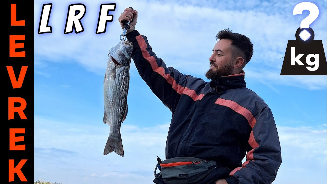 LRF TAKIM | KARİDES AKSİYONU İLE LEVREK AVI - İzmir Hafif Takım Balık Avı