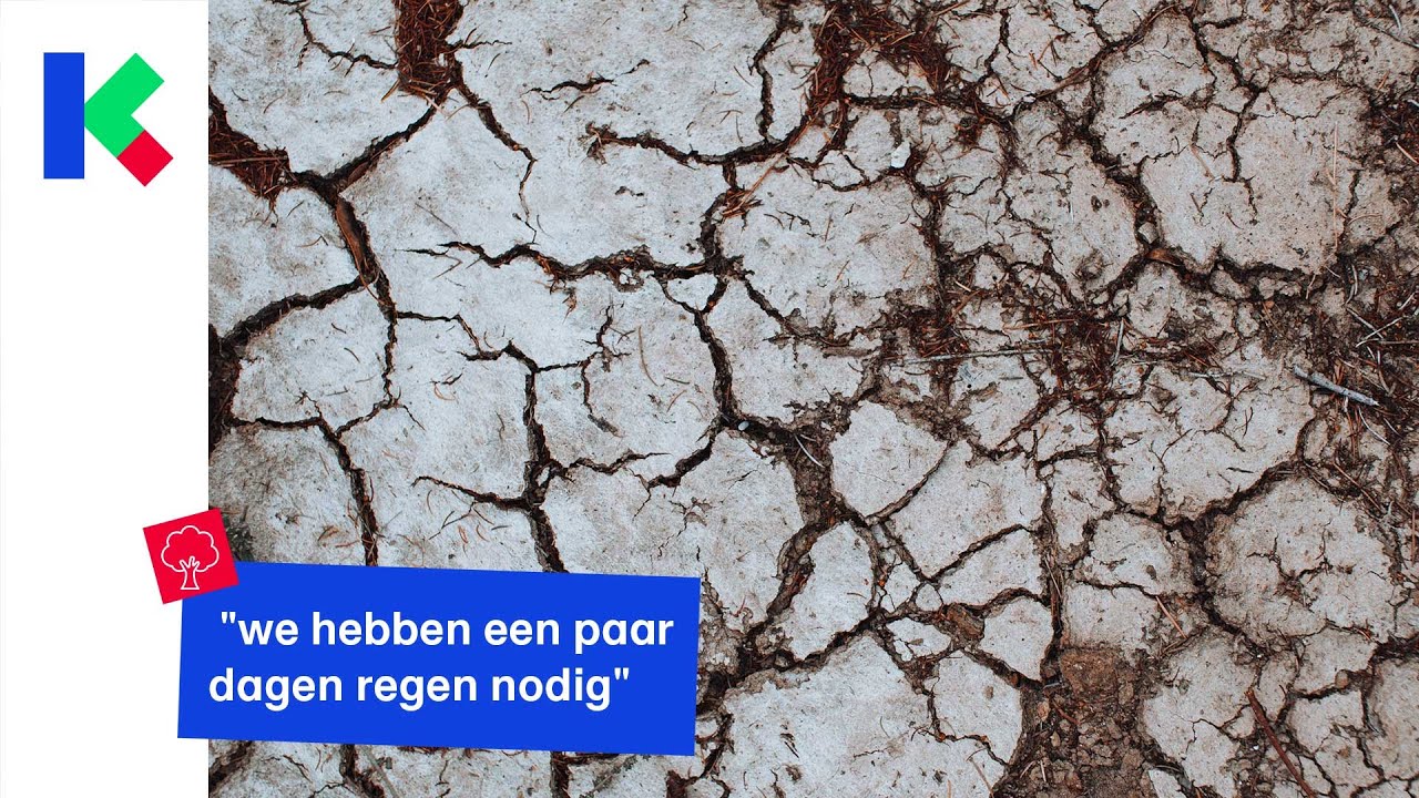 kikkers,salamanders en andere amfibieën zijn geen fan van de droogte