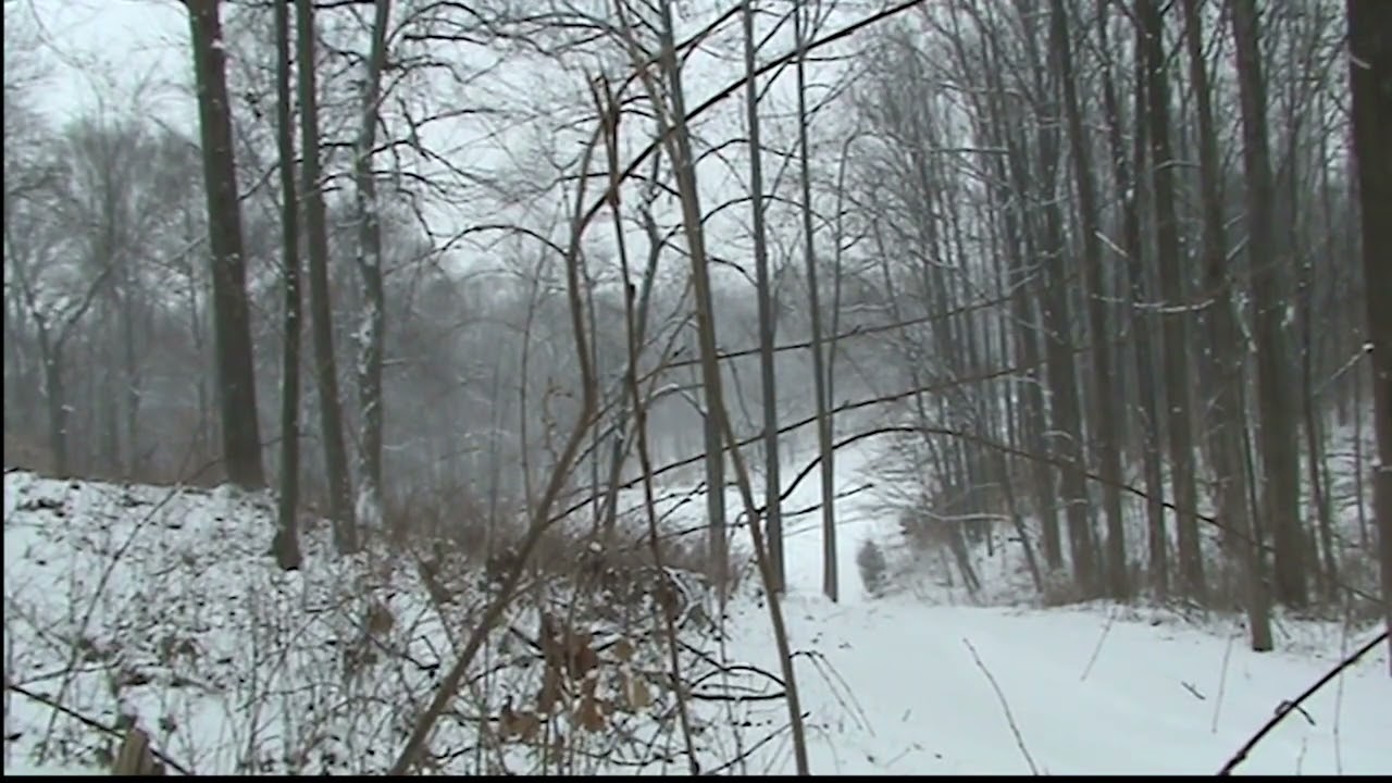 Snow Day 24