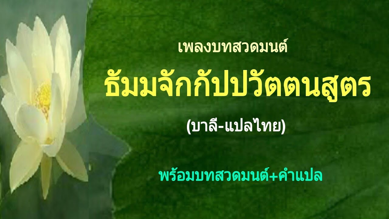 เพลงบทสวดมนต์ ธัมมจักกัปปวัตตนสูตร (บาลี-แปลไทย)(พร้อมบทสวดมนต์+คำแปล)(ศิลปิน Ocean Media)
