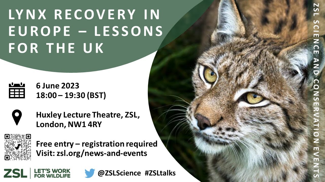 Lynx recovery in Europe - Lessons for the UK?