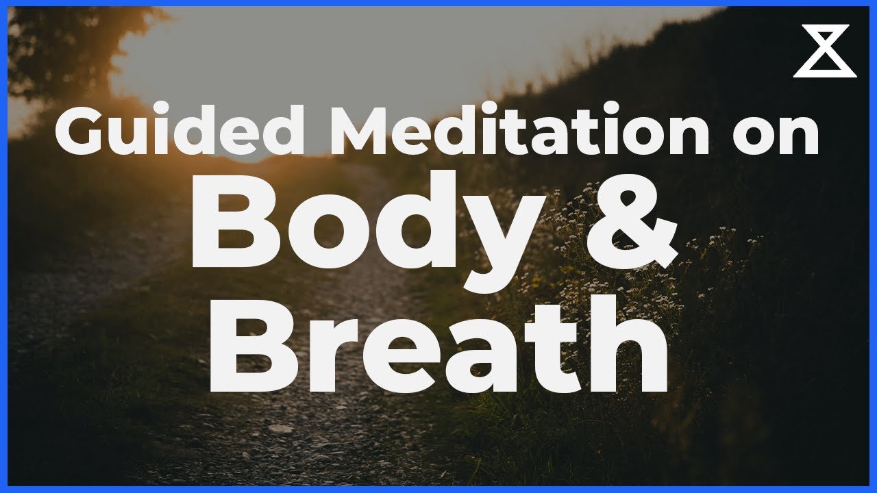 20 Minute Guided Meditation on the Body, Breath, and Resetting