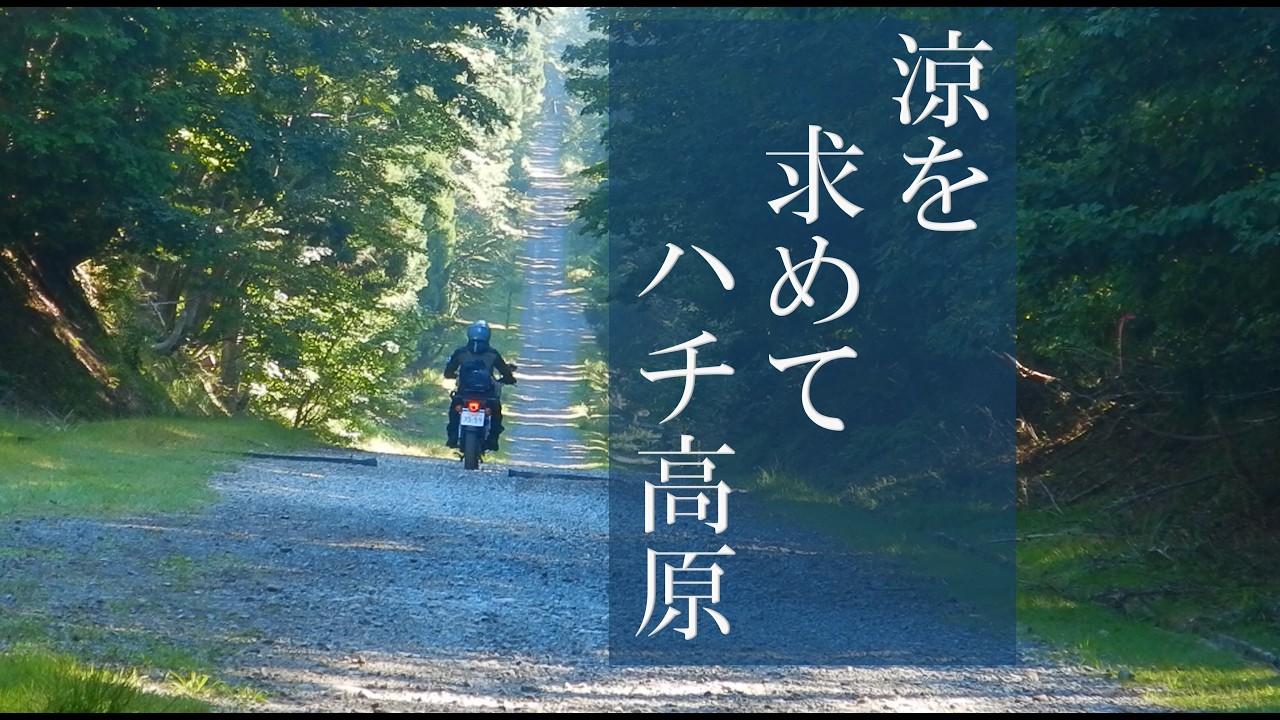 涼を求めてハチ高原