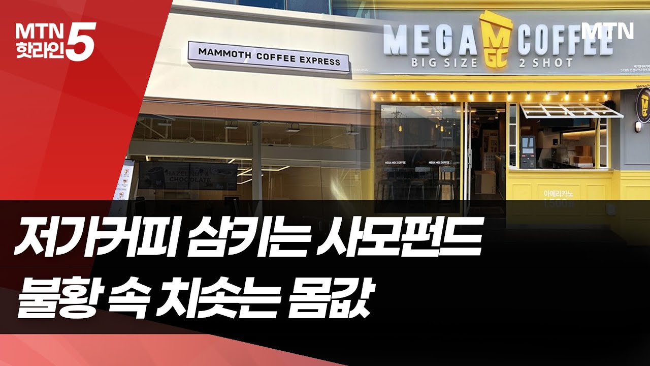 저가커피 삼키는 사모펀드&hellip;불황 속 몸값 치솟는다 / 머니투데이방송 (뉴스)