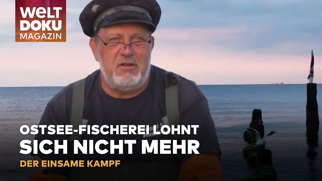 FISCHER IN BANSIN: Der einsame Kampf - Überfischung bedroht eine Tradition | WELT Magazin Doku