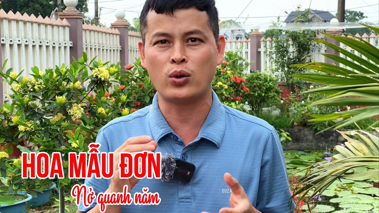 Yếu tố quan trọng giúp Hoa Mẫu Đơn nở hoa quanh năm