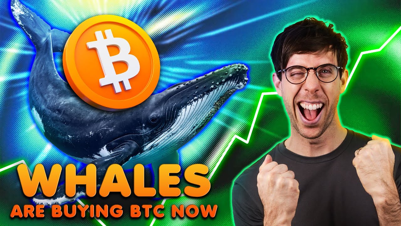 Крупные игроки на рынке биткоинов покупают (но когда они продают...)