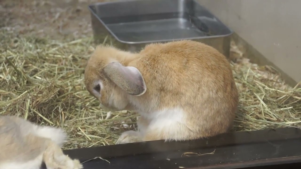 到津の森公園 (2015.8.28)