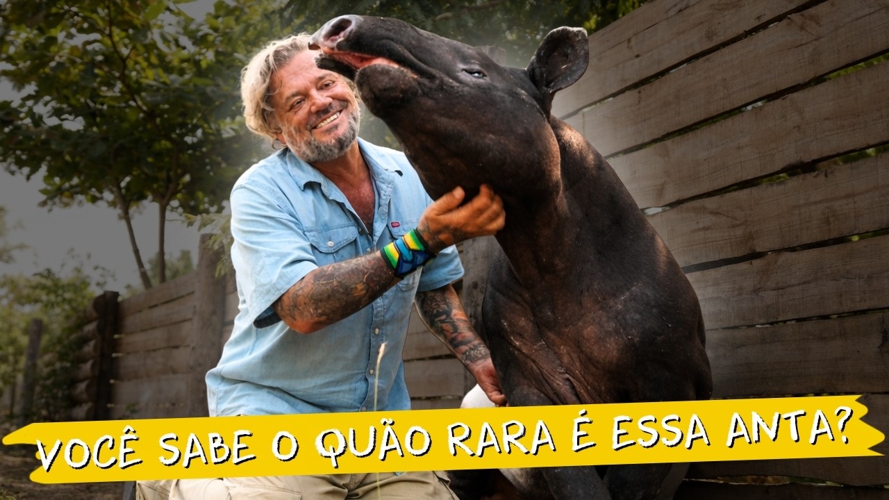 ISSO É UMA ANTA MALAIA 😱 EU NUNCA IMAGINEI VER UMA!