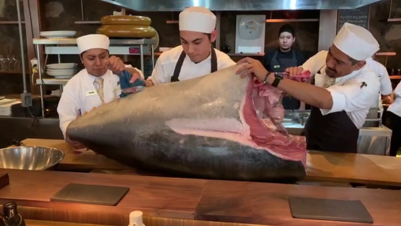 Corte de At&uacute;n Gigante Ryoshi