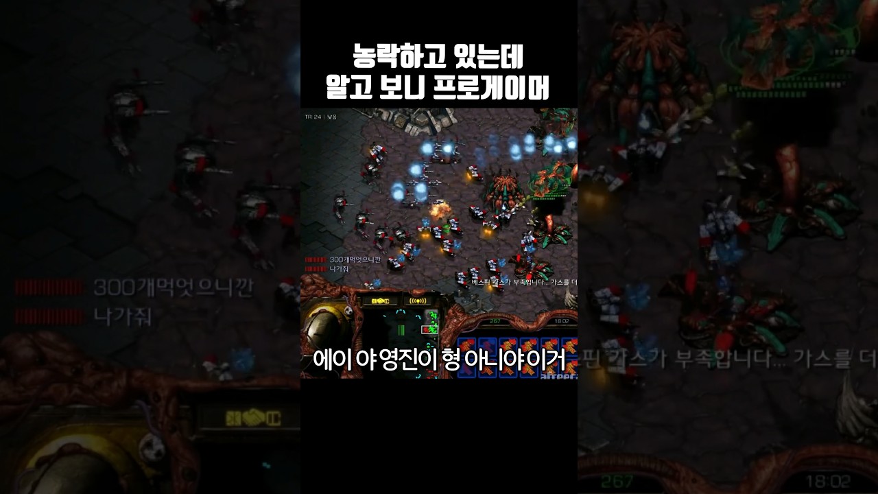 뮤탈로 농락하고 있는데.. 상대가 알고보니 초고수 프로게이머!?