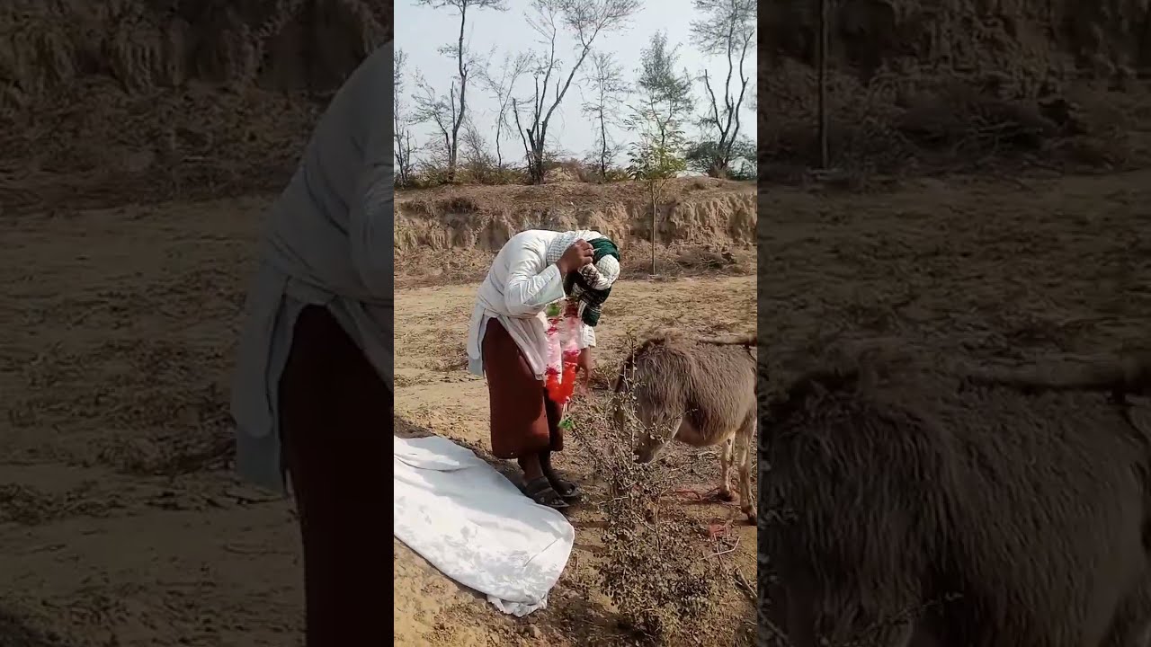 My new funny#mariovsdonkeykong #funnyanimal #funnydonkey #donkeykong 