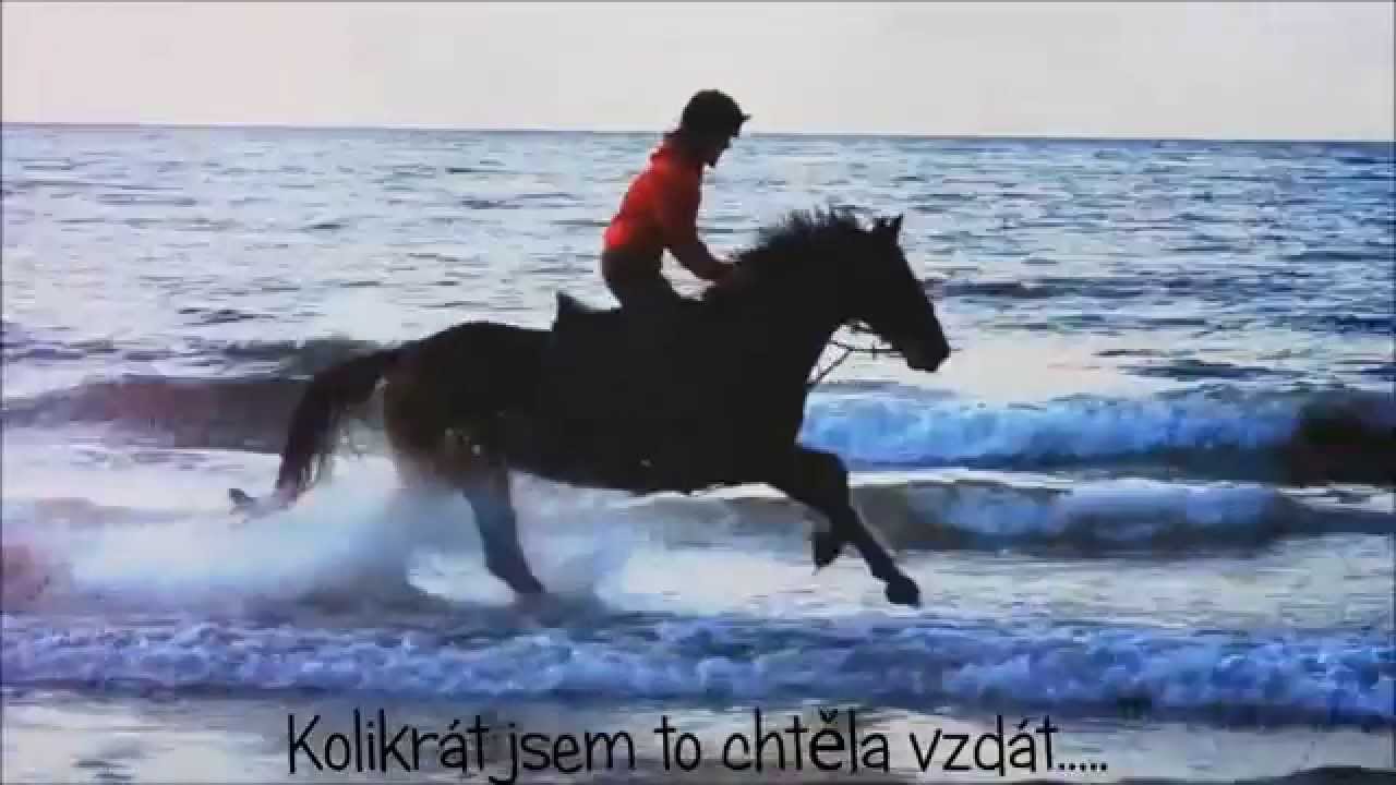Říkáš, že jezdectví je lehké?! :3