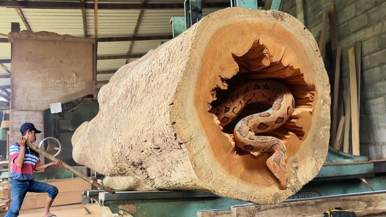 Turn into a big attack!! Dangerous way of sawing teak wood is full of horror || Sawmill