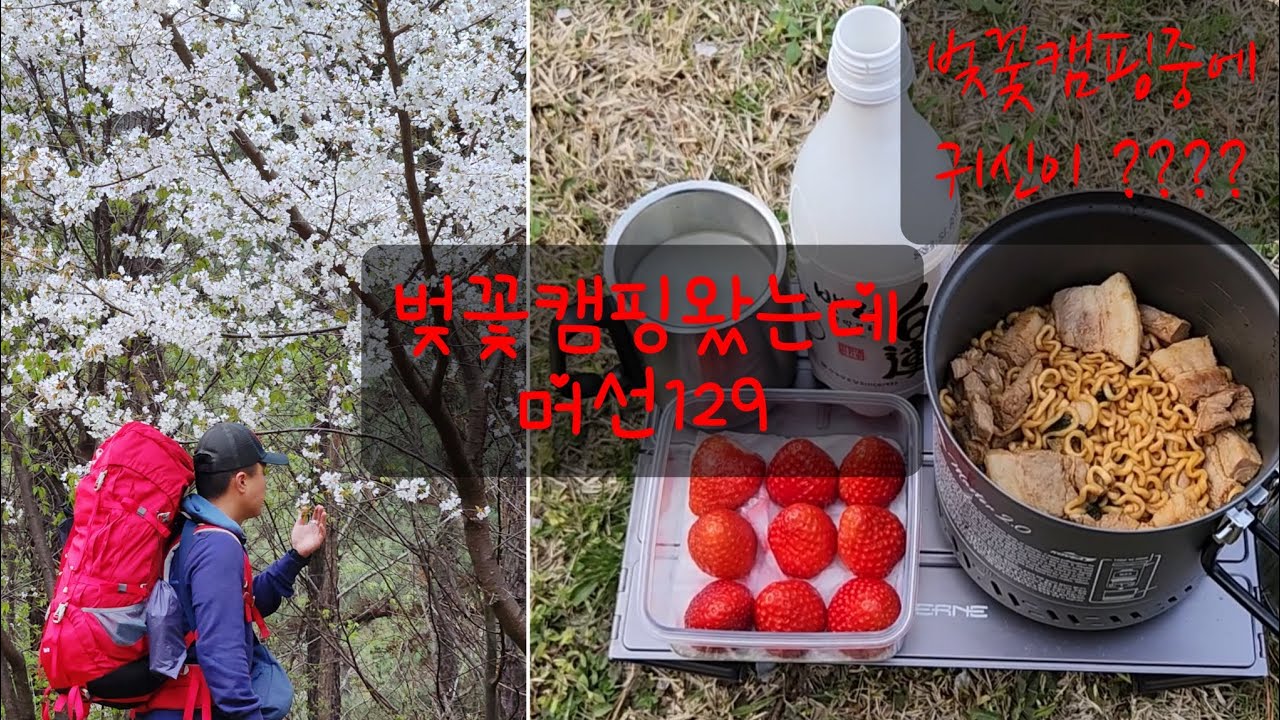 벚꽃백패킹 왔는데 새벽에 왜 귀신울음소리가 들릴까요 ? | 벚꽃캠핑 | 뷰맛집 | 노지캠핑 | 꿀박지 | 5분거리 | 퇴근박