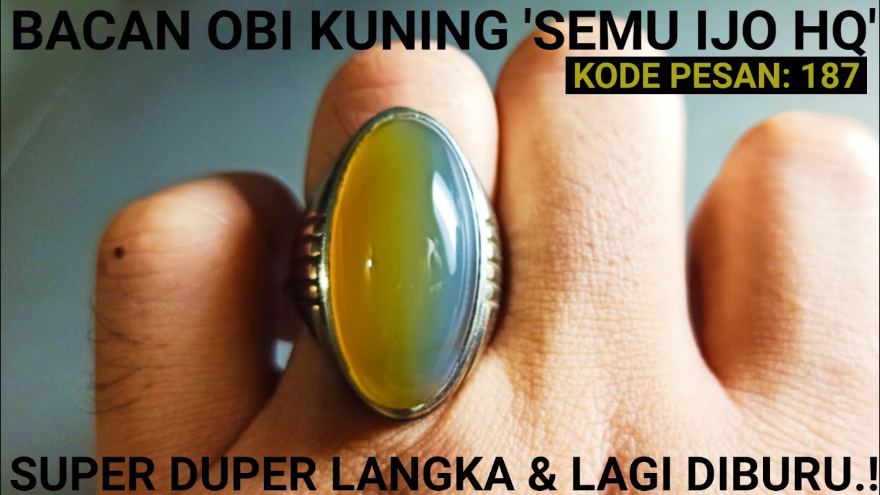 🟢KODE PESAN: 187🟢 HIGH QUALITY.! BACAN OBI KUNING 