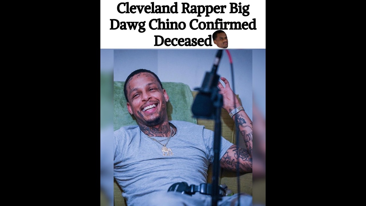 bigdawg chino