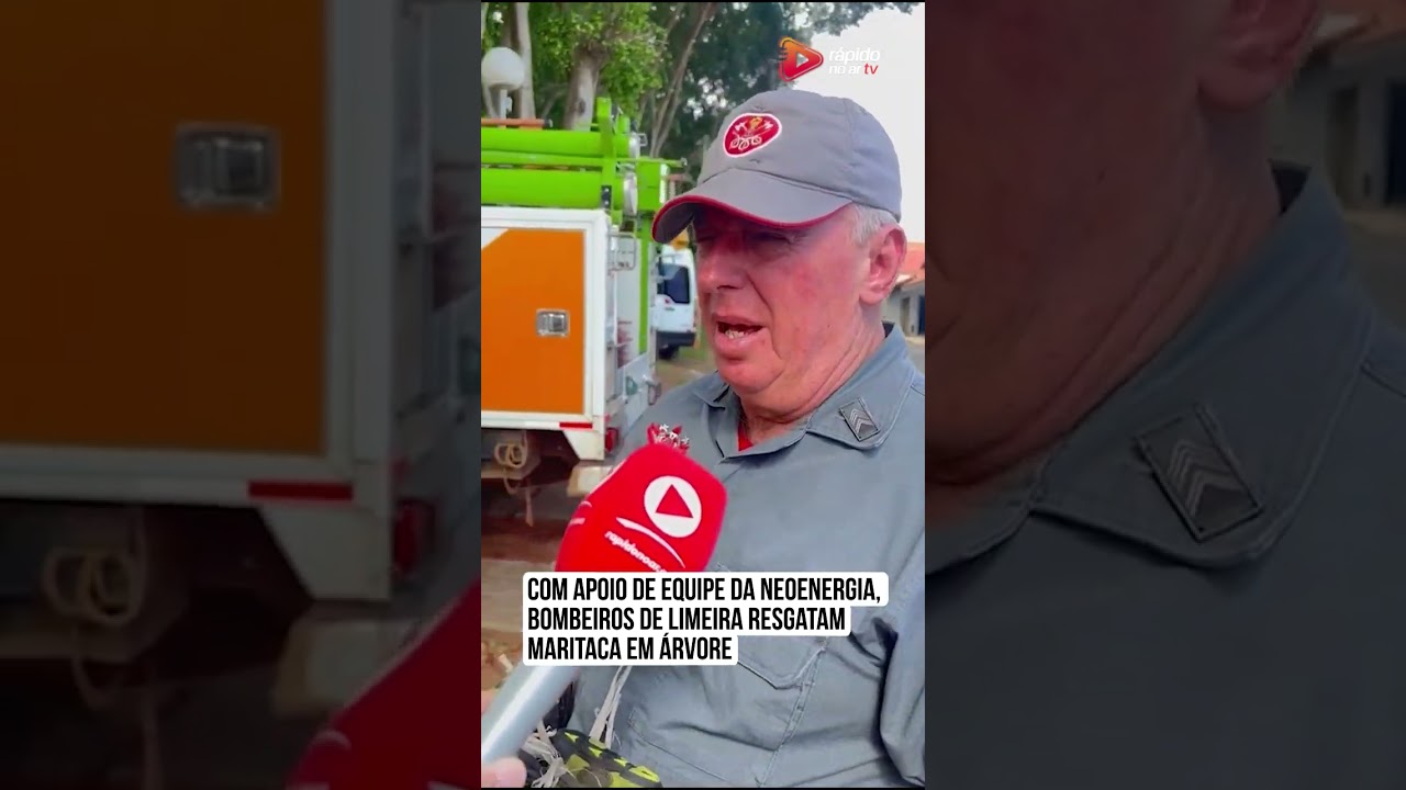 Com apoio de equipe da Neoenergia, bombeiros de Limeira resgatam maritaca em árvore