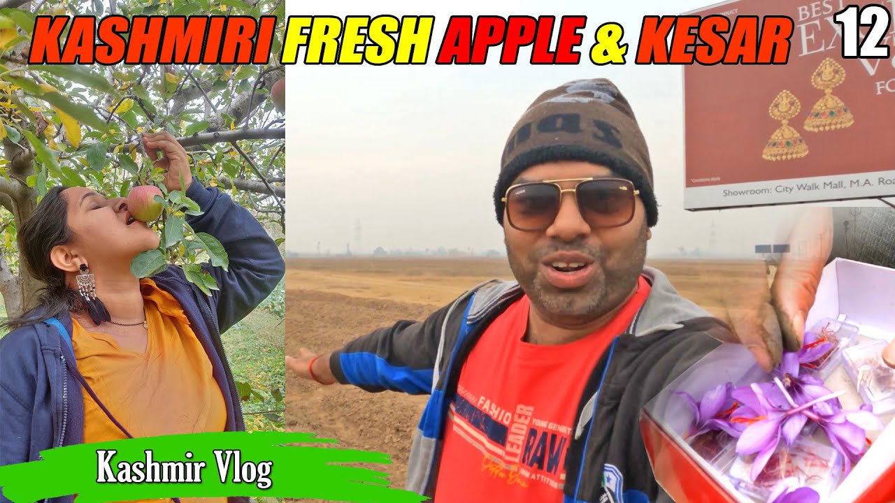 Direct ಮರದಿಂದ Apple ಕಿತ್ತು ತಿಂದ್ವಿ | Kashmiri Apple and Kesar | Kannada Vlog | Mr and Mrs Kamath