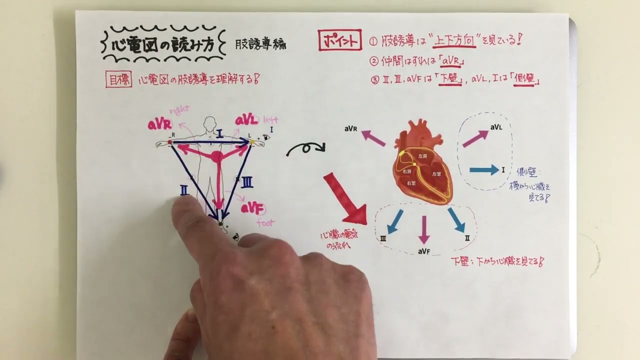 【ゆる〜い講義ビデオ】心電図の読み方《肢誘導編》