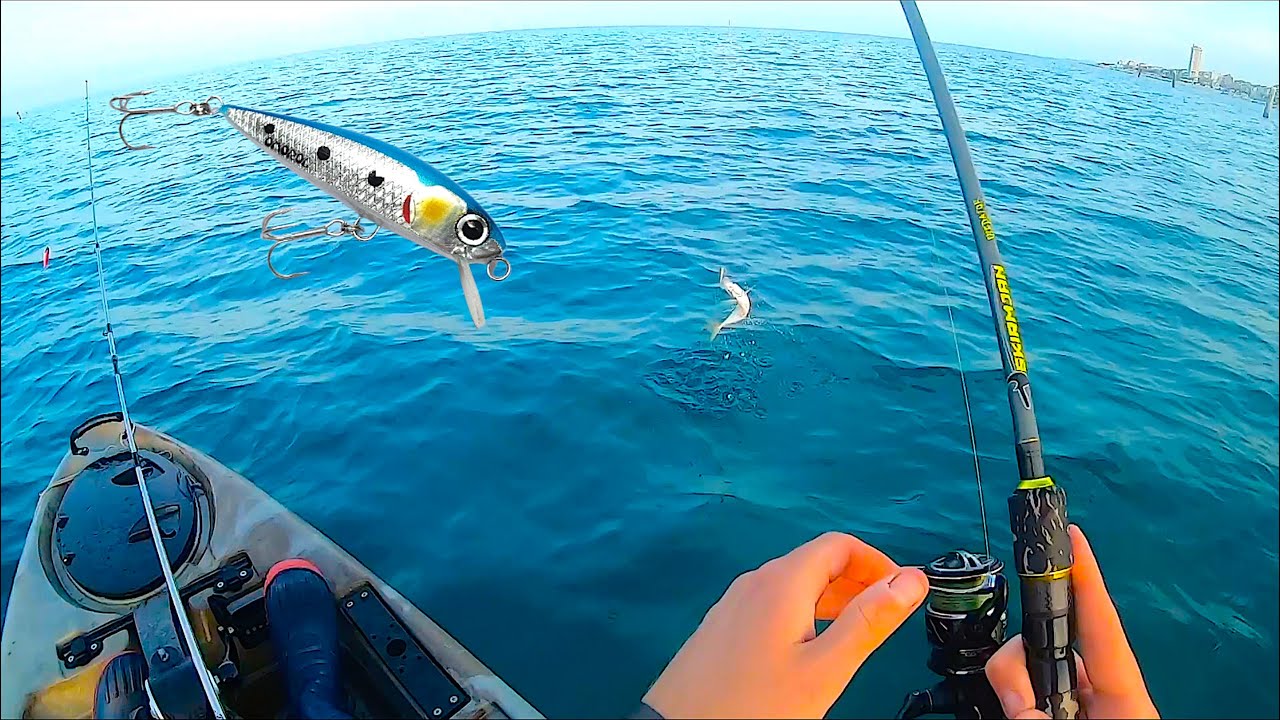 Prima FANTASTICA Uscita a Pesca in Kayak del 2021! TANTE Catture con Piccoli Minnow a Traina Leggera