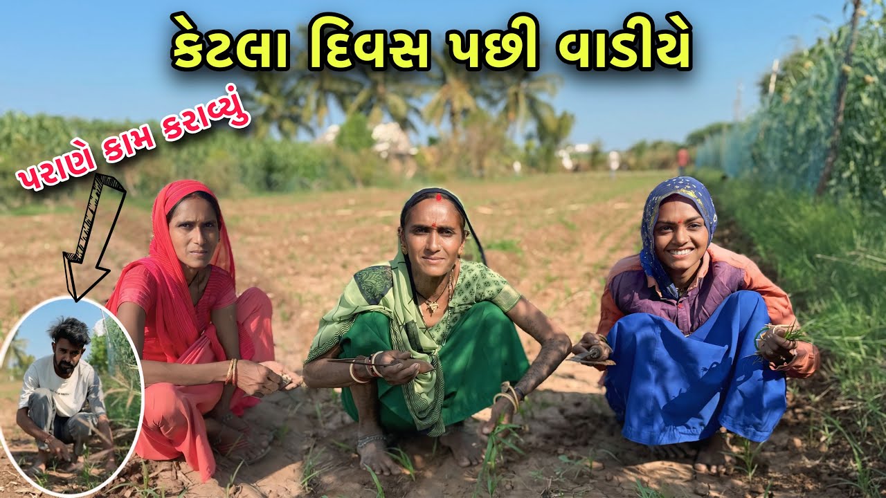 કેટલા દિવસ પછી વાડીએ 😳 બાજરી પારવા | My Village Farm Visit | Family Lifestyle Vlogs 