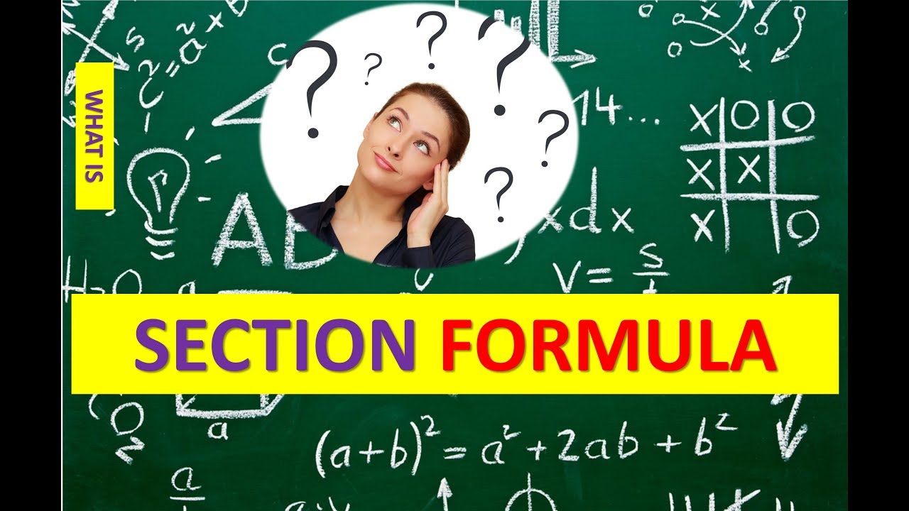 SECTION FORMULA WITH EXAMPLES BASED ON NCERT