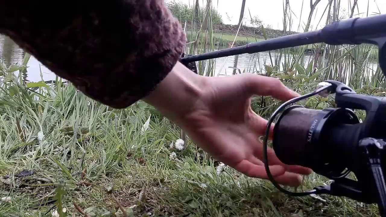 Carp Run compilation #3