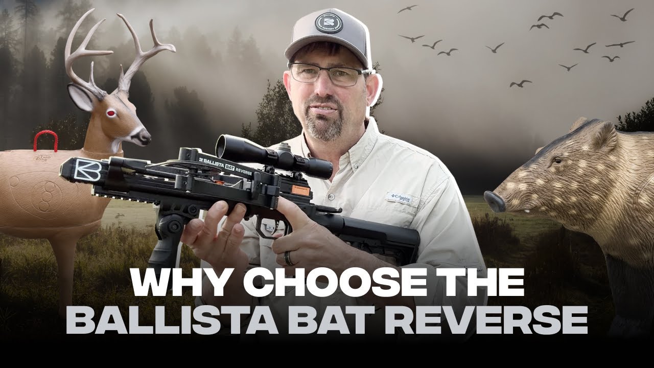 Почему стоит выбрать арбалет Ballista Bat Reverse? Полный обзор и характеристики