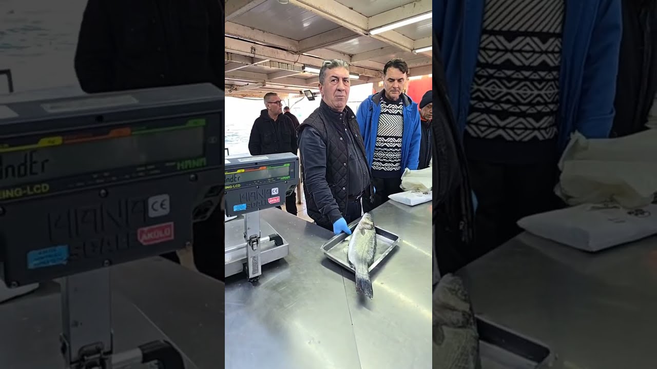 PUSULASIZ HAYAT kanalı canlı yayında