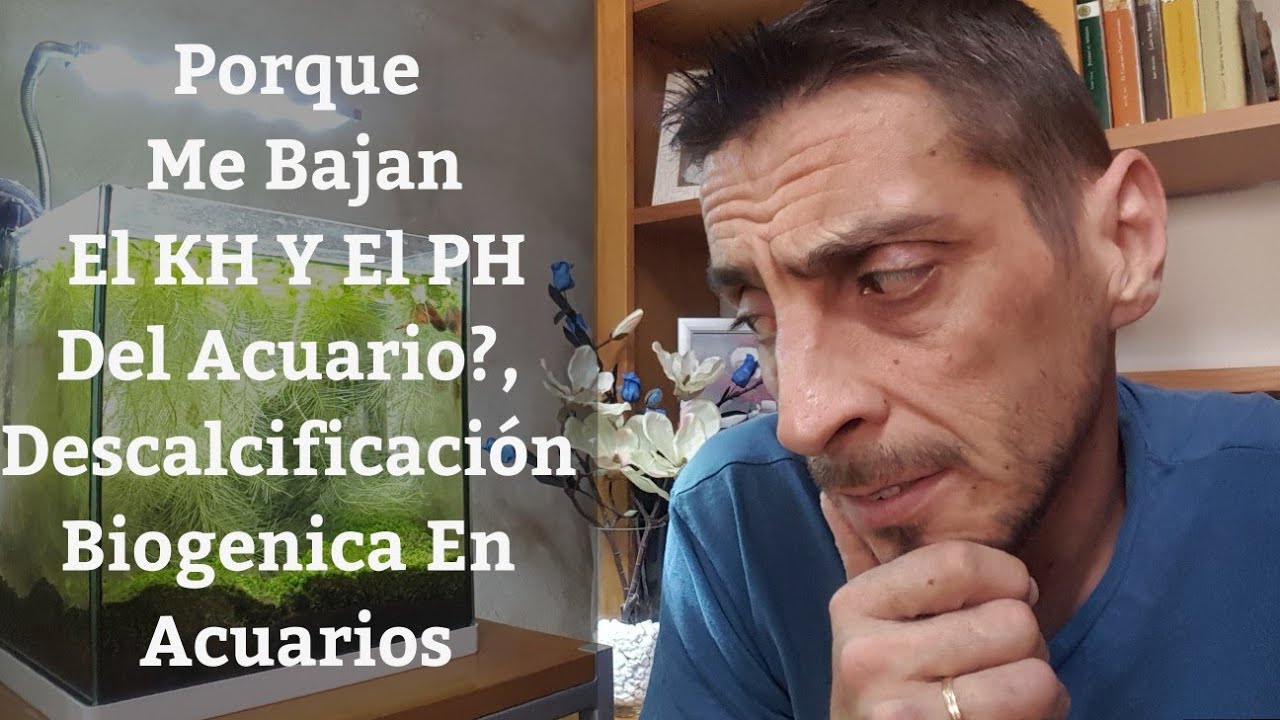 🔵 Porque Tengo Bajo El KH Y El PH Del Acuario?,Descalcificación Biogenica En Acuarios (Acuarios MB)