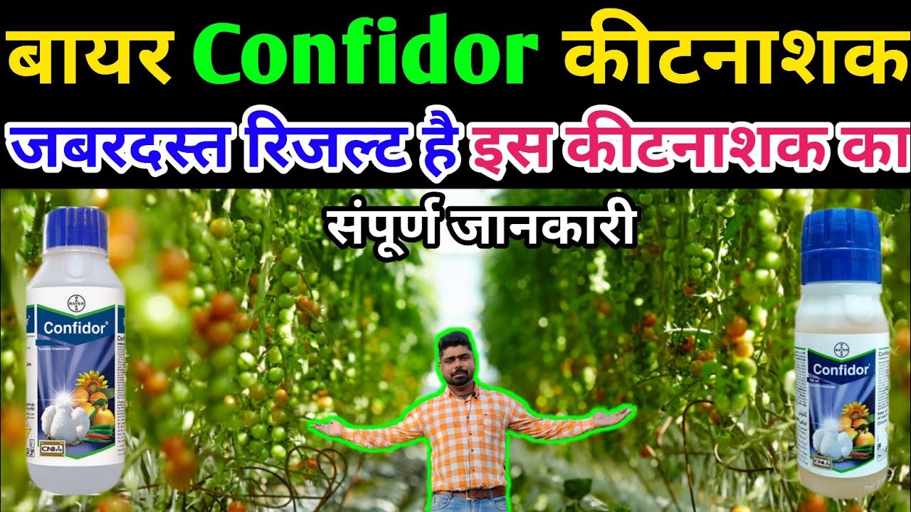Confidor Insecticide । Bayer Confidor Insecticide । Imidacloprid 17.8%Sl।सबसे सस्ता और अच्छा कीटनाशक