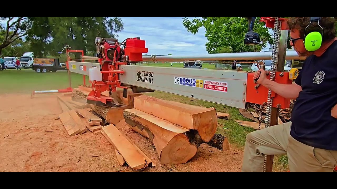 Batch sawing Elm and Poplar