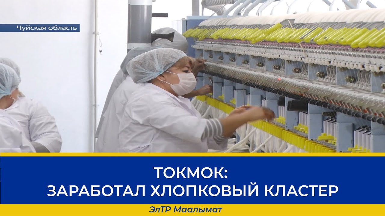 ТОКМОК: ЗАРАБОТАЛ ХЛОПКОВЫЙ КЛАСТЕР