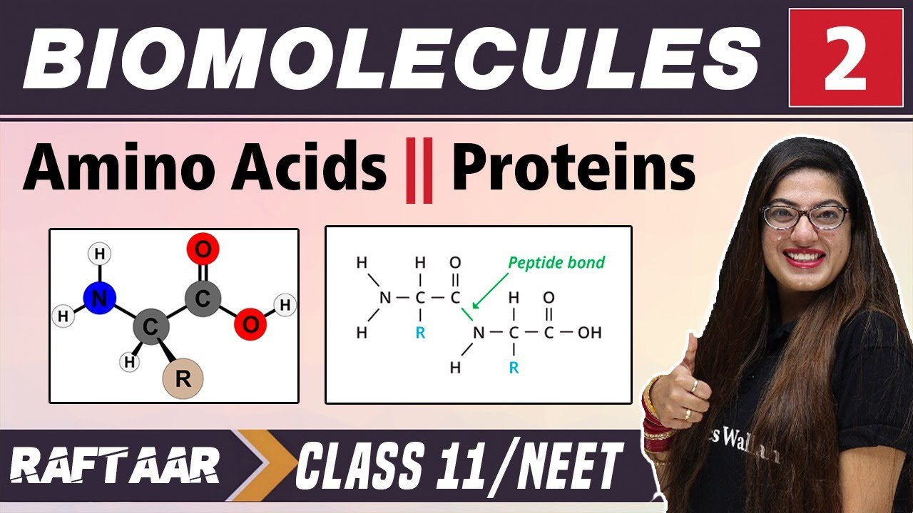 Biomolecules 02 || Amino Acids || Proteins || Class 11/NEET || RAFTAAR