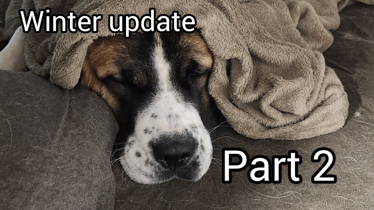 Winter update part 2